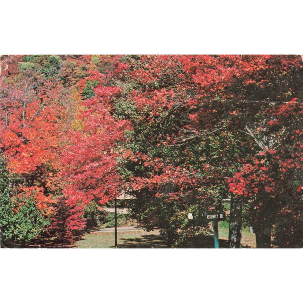 Vtg Montreat North Carolina Postcard Fall Coloring Lookout Road 1974 Postmark - Picture 1 of 2